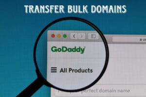 Read more about the article How to Transfer Multiple Domains to GoDaddy